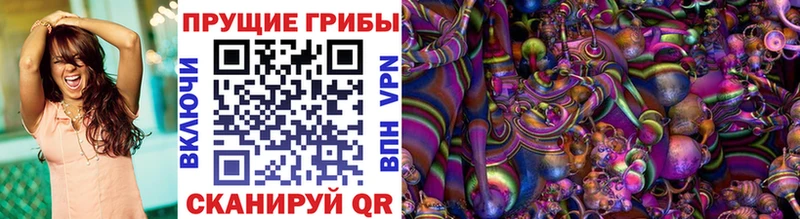 Купить  Кирово-Чепецк  Псилоцибиновые грибы Cubensis 